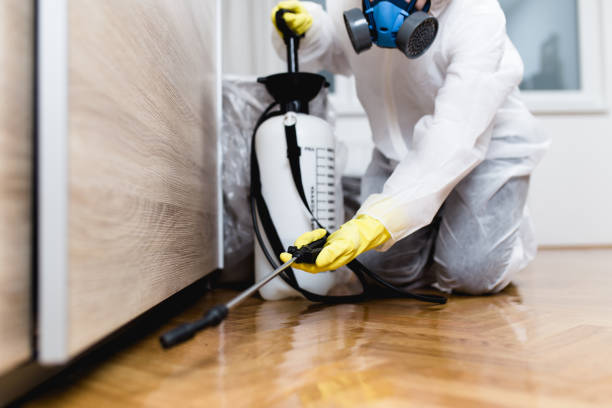  Fraser, CO Pest Control Pros