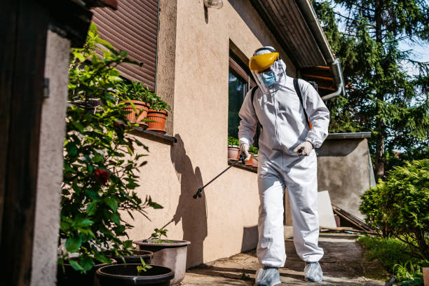 Best Affordable Pest Control Services  in Fraser, CO