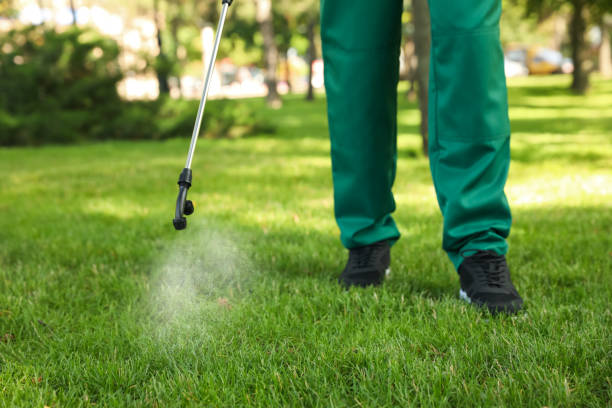 Best Cockroach Control Services  in Fraser, CO