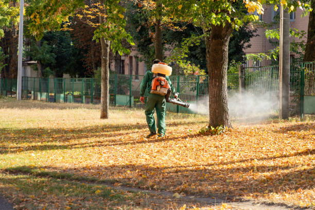 Professional Pest Control in Fraser, CO
