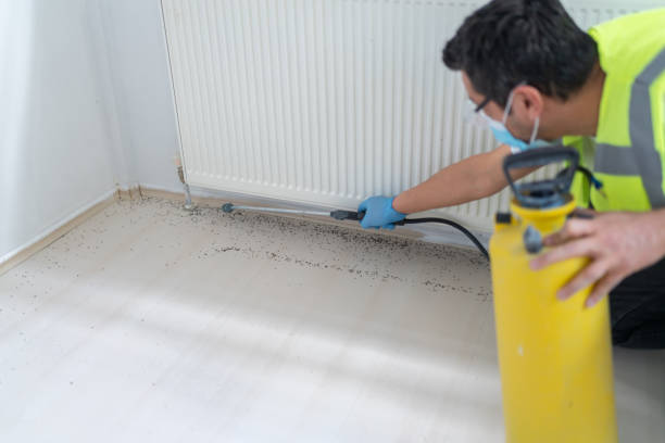 Best Exterminator Services  in Fraser, CO