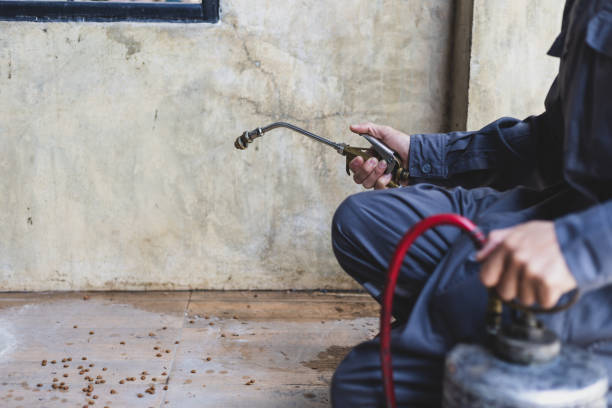 Pest Control Cost in Fraser, CO