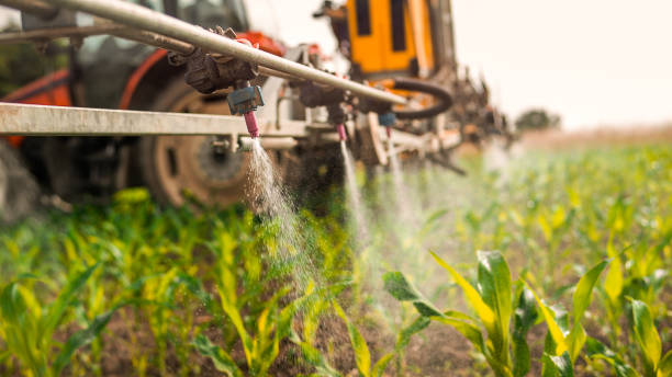 Best Insect Control  in Fraser, CO